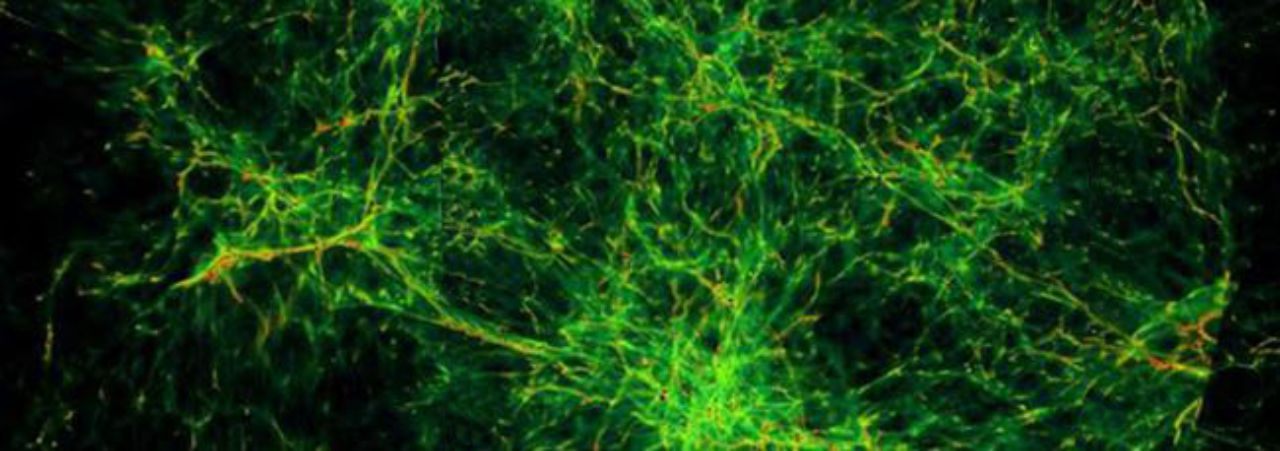 Stringy things in space